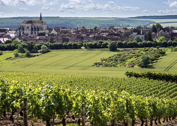 Vue sur saint-bris et les vignobles